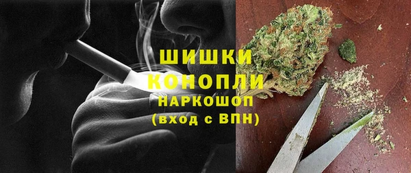 сатива Аркадак