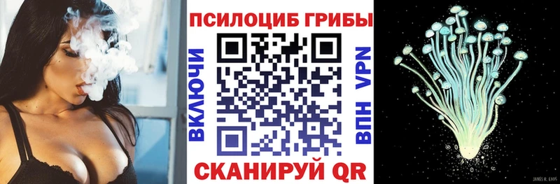 Псилоцибиновые грибы мицелий  Краснотурьинск 